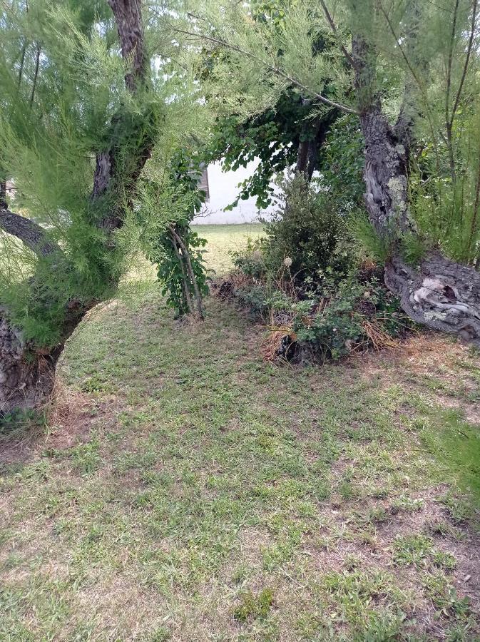 La Maison De Papou La Vigne A Nans Les Pins 83860 Екстериор снимка