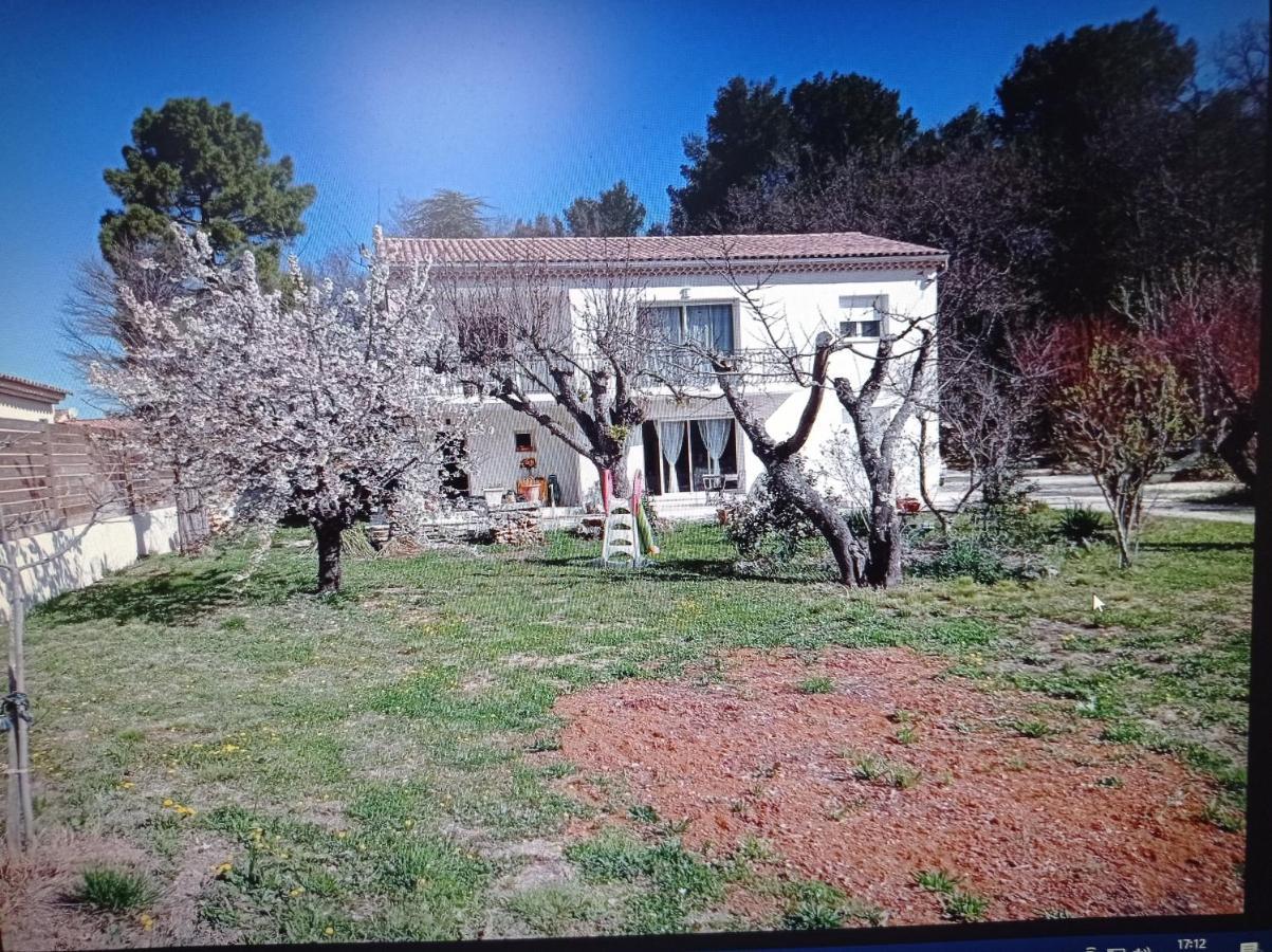 La Maison De Papou La Vigne A Nans Les Pins 83860 Екстериор снимка